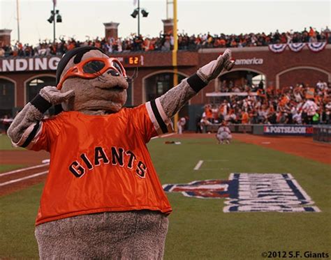 Giants mascot in the sf bay area